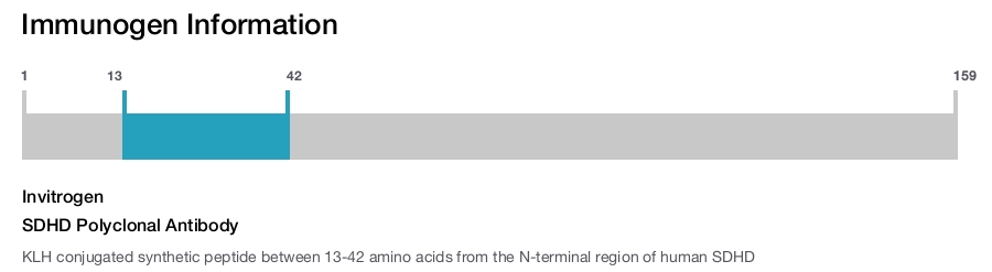 SDHD Polyclonal Antibody