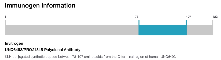 UNQ6493/PRO21345 Polyclonal Antibody