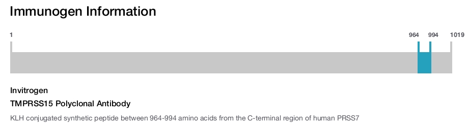 TMPRSS15 Polyclonal Antibody