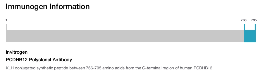 PCDHB12 Polyclonal Antibody