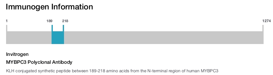 MYBPC3 Polyclonal Antibody