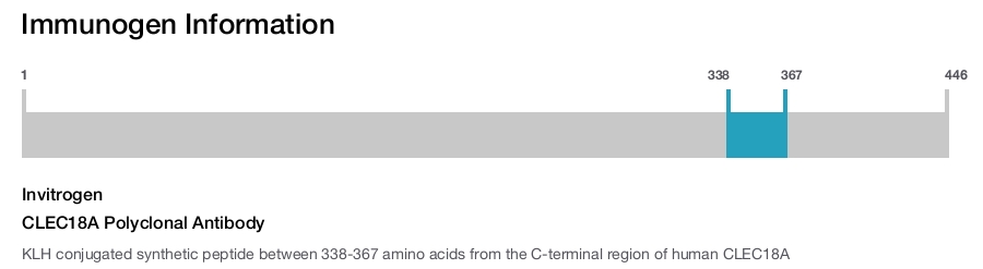 CLEC18A Polyclonal Antibody