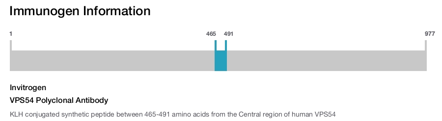 VPS54 Polyclonal Antibody