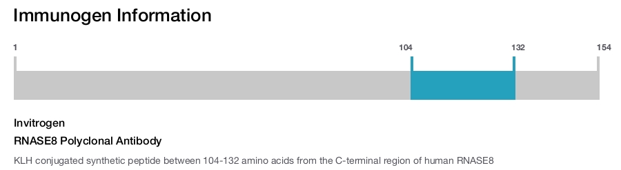 RNASE8 Polyclonal Antibody