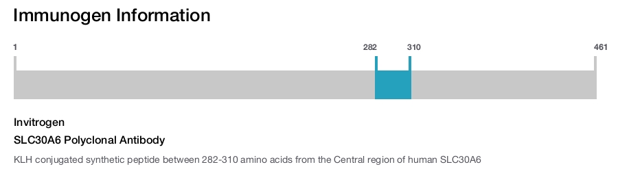 SLC30A6 Polyclonal Antibody