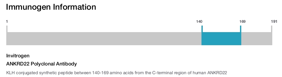 ANKRD22 Polyclonal Antibody
