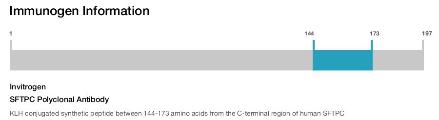 SFTPC Polyclonal Antibody