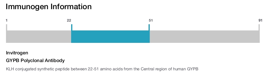 GYPB Polyclonal Antibody