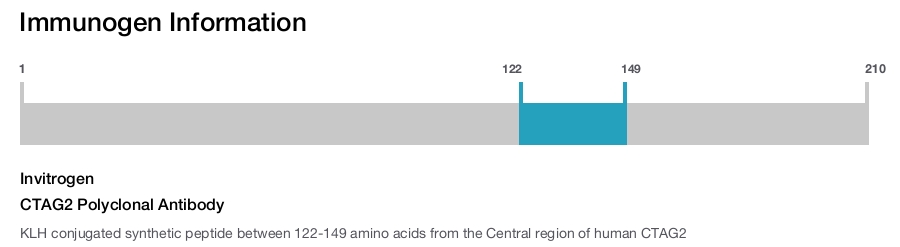CTAG2 Polyclonal Antibody