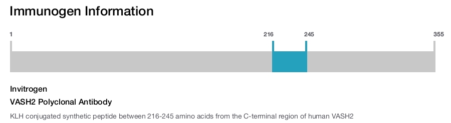 VASH2 Polyclonal Antibody