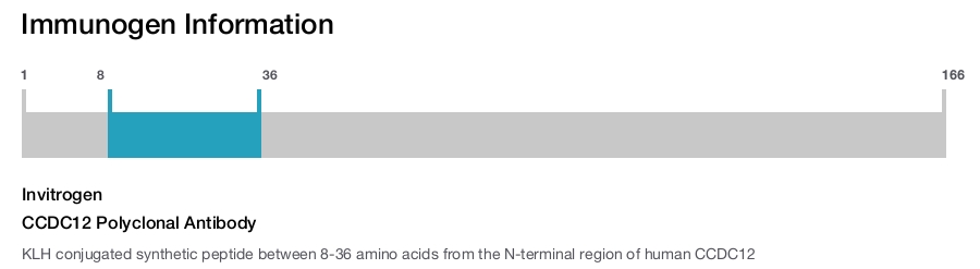 CCDC12 Polyclonal Antibody
