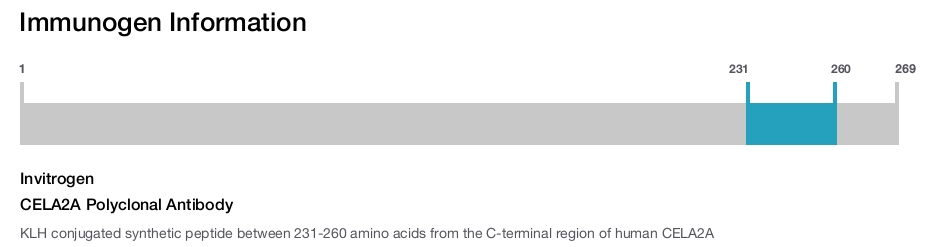 CELA2A Polyclonal Antibody