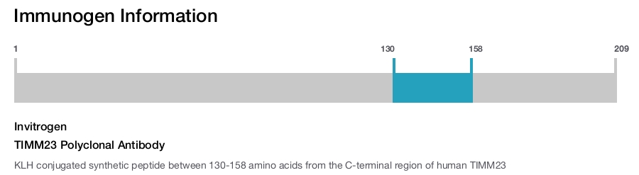 TIMM23 Polyclonal Antibody
