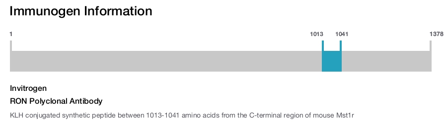 RON Polyclonal Antibody