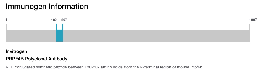 PRPF4B Polyclonal Antibody