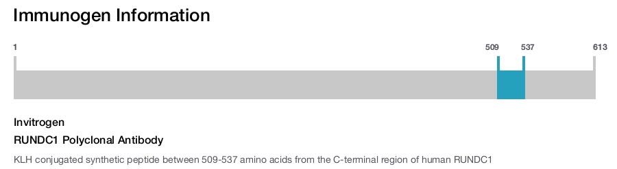 RUNDC1 Polyclonal Antibody