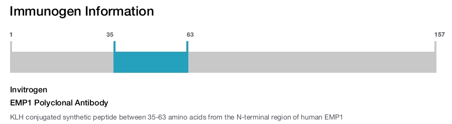 EMP1 Polyclonal Antibody