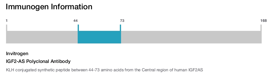 IGF2-AS Polyclonal Antibody
