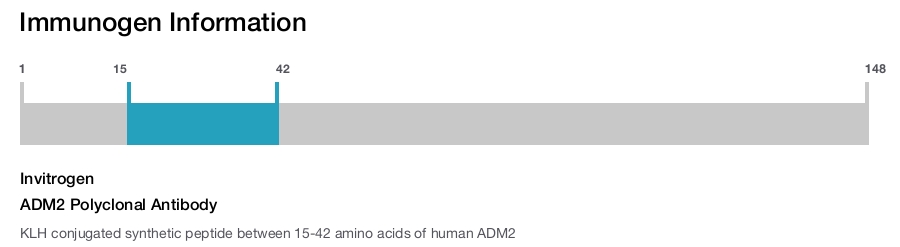 ADM2 Polyclonal Antibody