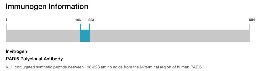PADI6 Polyclonal Antibody