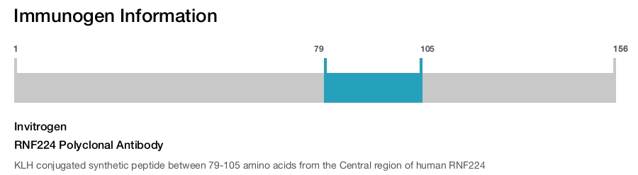 RNF224 Polyclonal Antibody