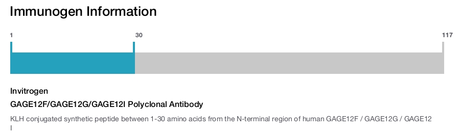 GAGE12F/GAGE12G/GAGE12I Polyclonal Antibody