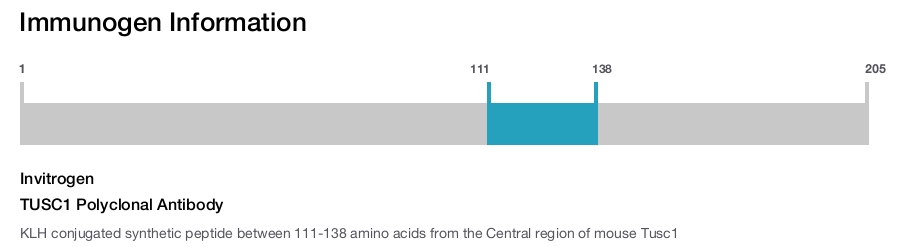 TUSC1 Polyclonal Antibody
