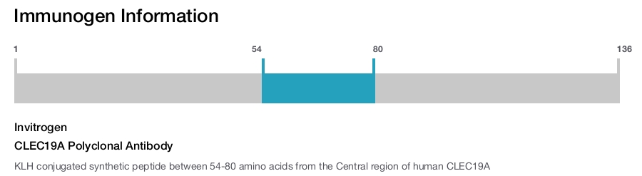 CLEC19A Polyclonal Antibody
