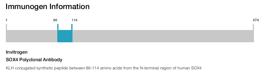 SOX4 Polyclonal Antibody