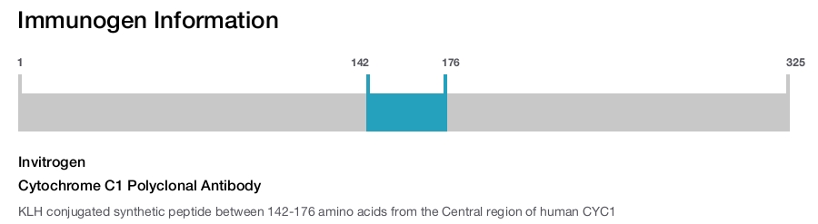 Cytochrome C1 Polyclonal Antibody