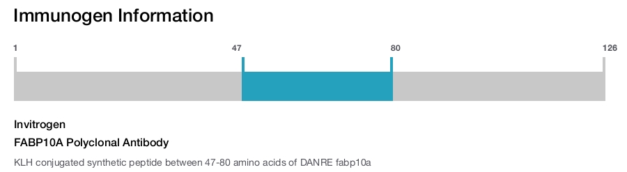 FABP10A Polyclonal Antibody