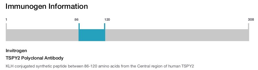 TSPY2 Polyclonal Antibody