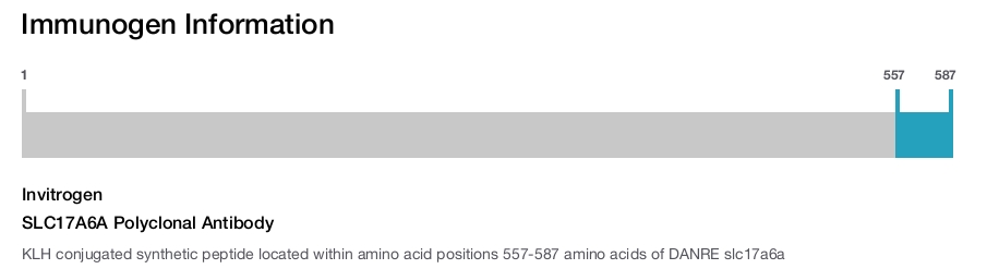 SLC17A6A Polyclonal Antibody