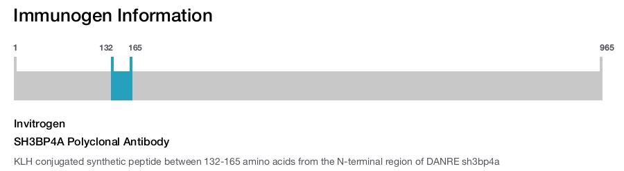 SH3BP4A Polyclonal Antibody