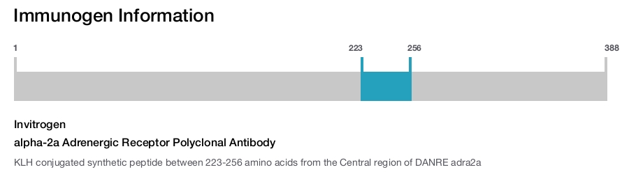 alpha-2a Adrenergic Receptor Polyclonal Antibody