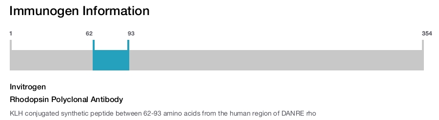 Rhodopsin Polyclonal Antibody
