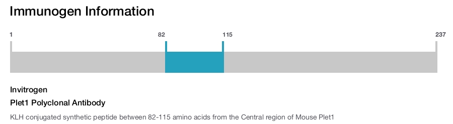 Plet1 Polyclonal Antibody
