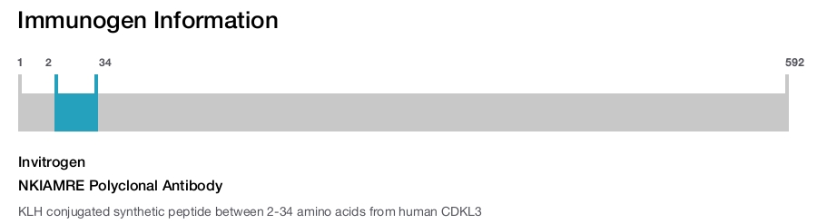 NKIAMRE Polyclonal Antibody