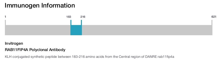 RAB11FIP4A Polyclonal Antibody