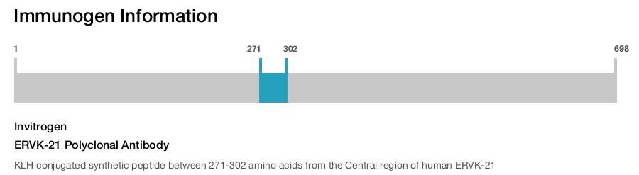ERVK-21 Polyclonal Antibody