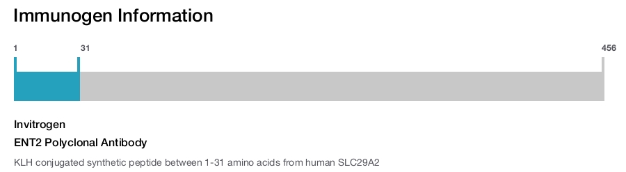 ENT2 Polyclonal Antibody