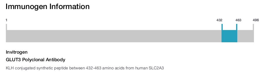 GLUT3 Polyclonal Antibody