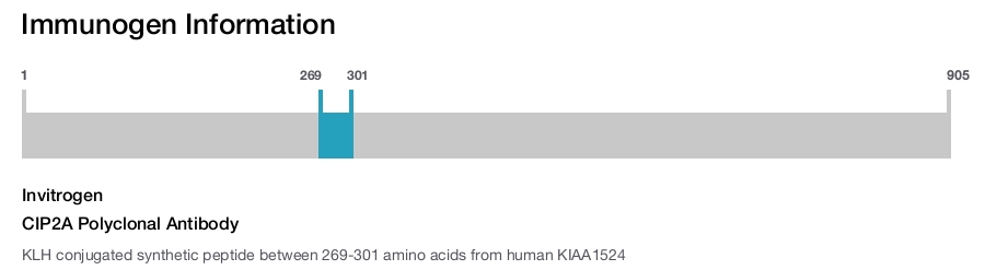 CIP2A Polyclonal Antibody