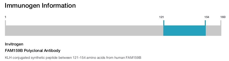 FAM159B Polyclonal Antibody