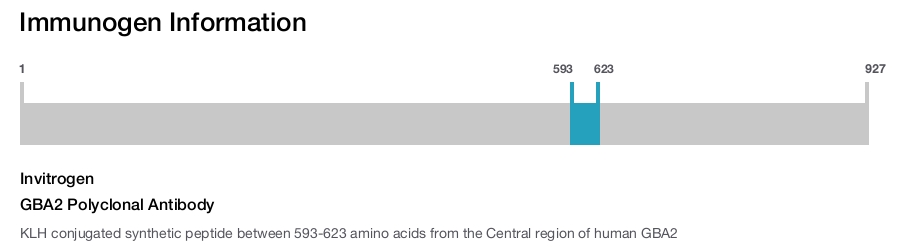 GBA2 Polyclonal Antibody
