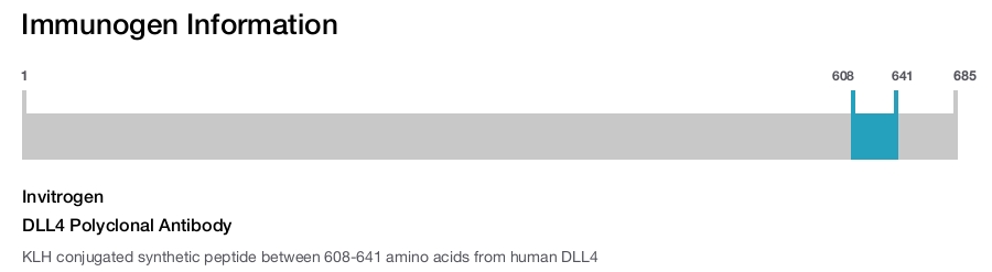 DLL4 Polyclonal Antibody