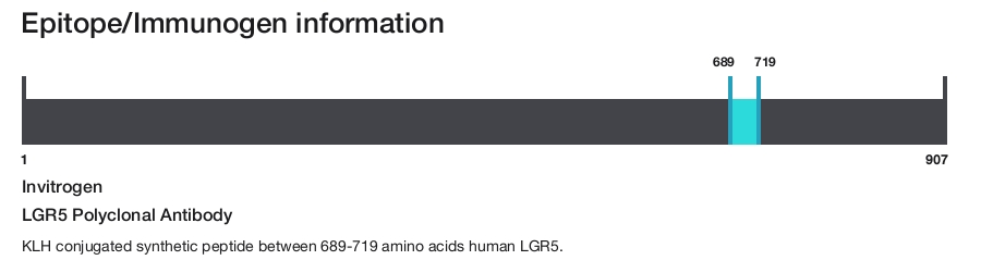 LGR5 Polyclonal Antibody