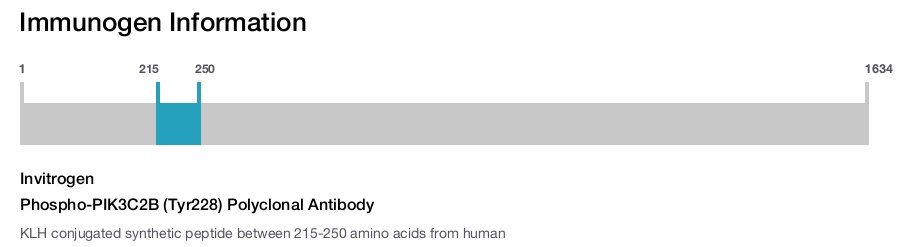 Phospho-PIK3C2B (Tyr228) Polyclonal Antibody