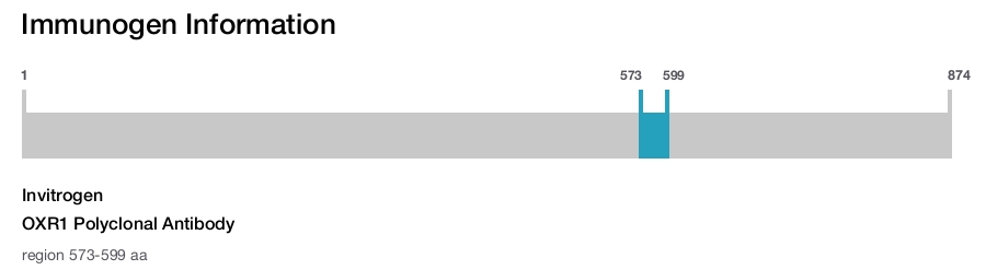 OXR1 Polyclonal Antibody
