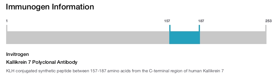 Kallikrein 7 Polyclonal Antibody